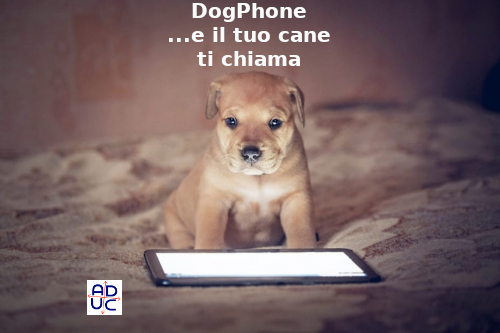 Amore a Quattro Zampe - Uno snack piacevole e anche molto salutare: cos'è  il legno di caffè per cani 🐶➡  #noiamiamoglianimali  #doglovers